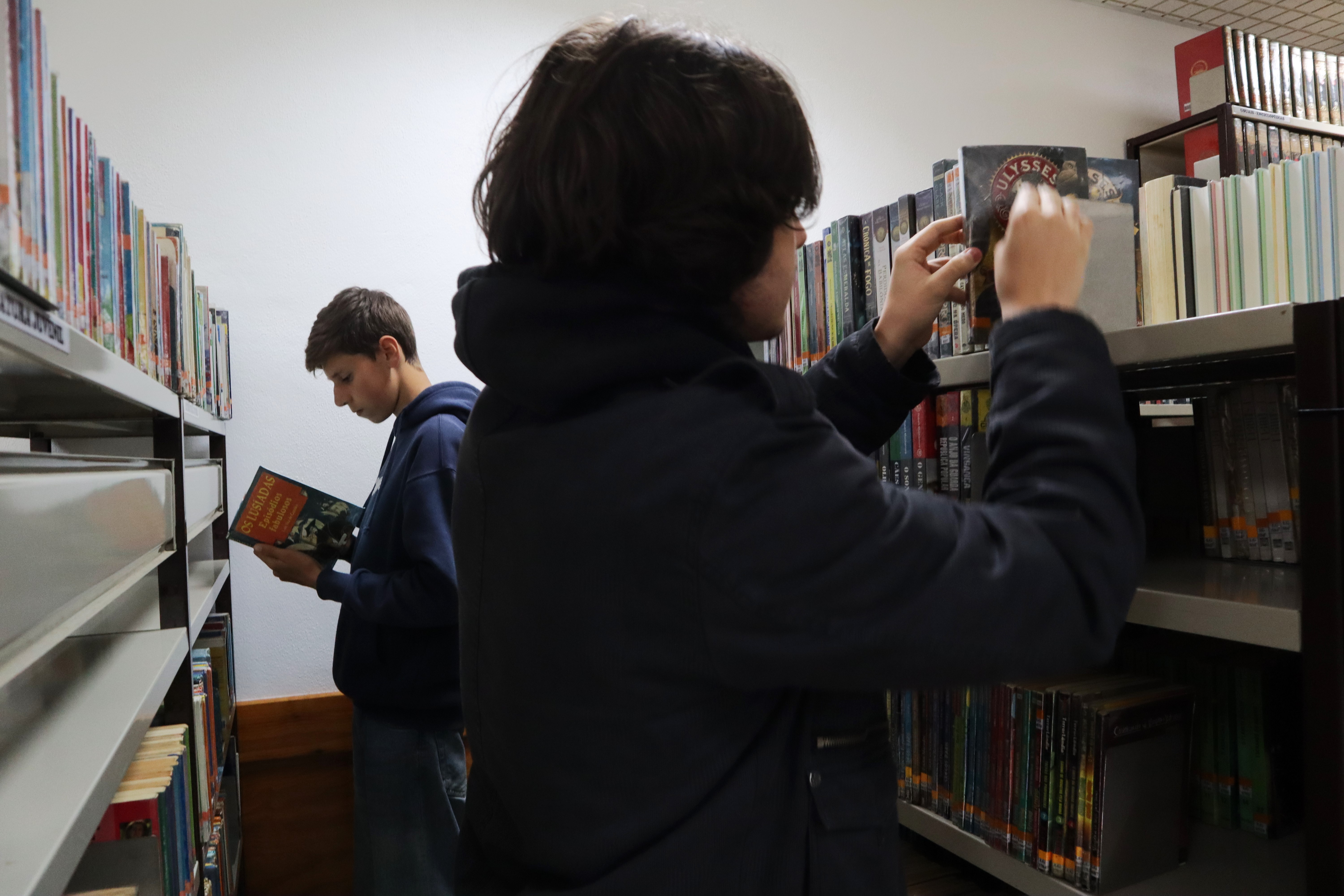 Abertura do site da biblioteca